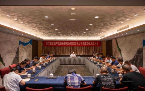 參觀學(xué)習(xí)振奮精神，總結(jié)部署擔(dān)負(fù)責(zé)任